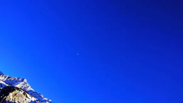 Casino Bet Rocker Supporto